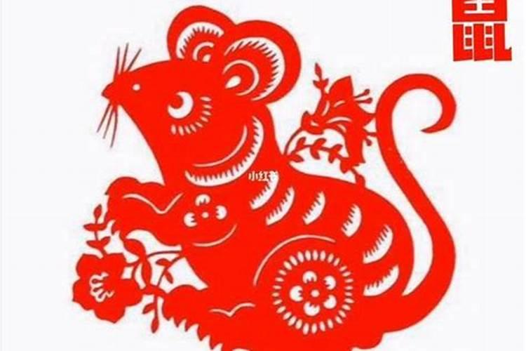 属鼠犯太岁哪几个？