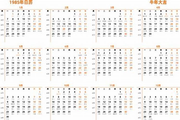 85年正月初五公历哪天？
