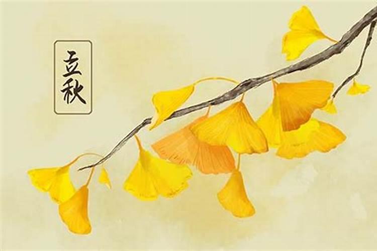 1995年立秋是什么时候？
