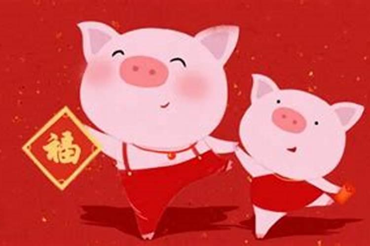 属猪今年81岁运程
