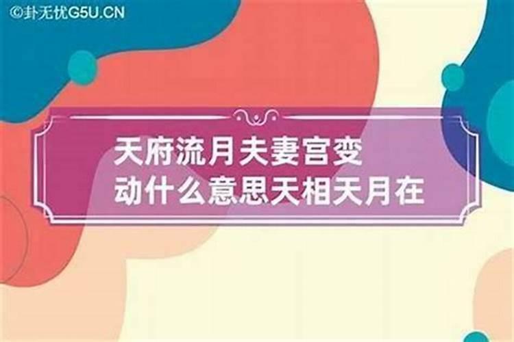 夫妻宫天府流月是什么意思？