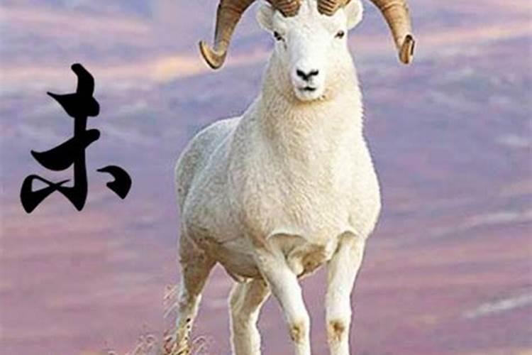 属羊男性今年的运势