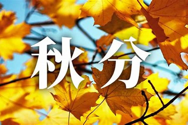 秋分中午出生