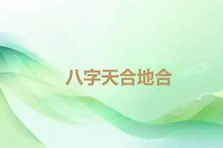 八字中什么叫天合地合？