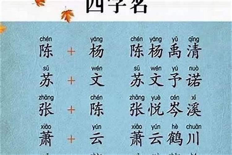 取名字女孩虎宝宝
