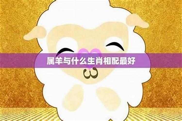 女性属羊最佳婚配哪个属相？