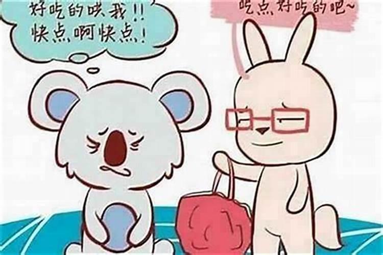 男兔女属鼠的合婚吗？