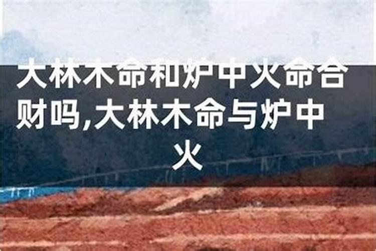 大海水和大林木合婚吗？
