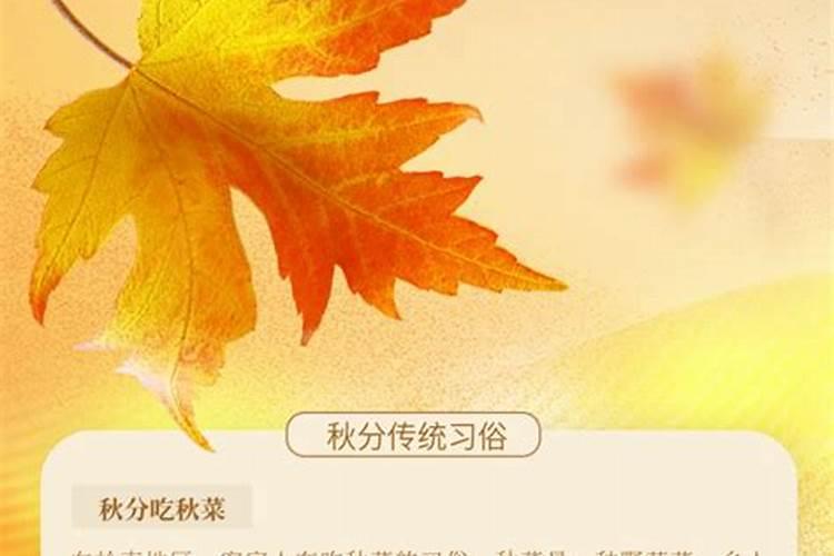 秋分有哪些习俗活动？