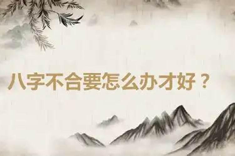 八字不合不放弃怎么办？