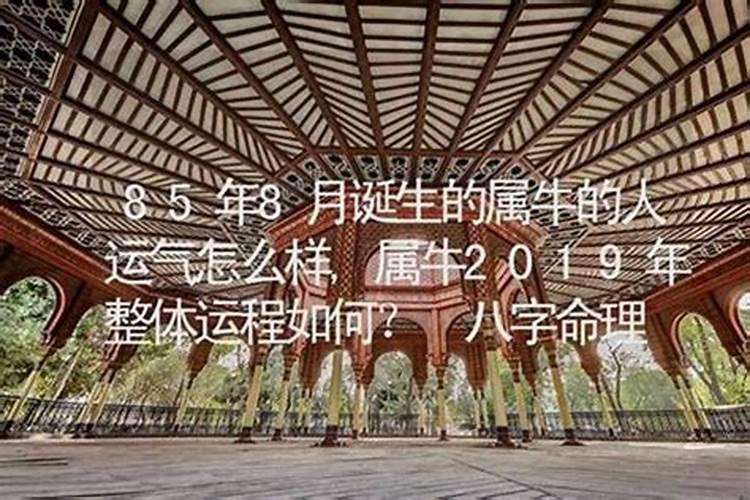 1970年八月初三今年的运程