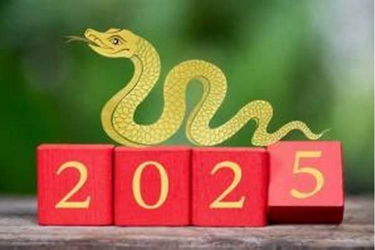 2026蛇年6月运势如何？