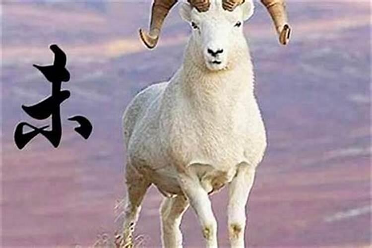属羊5几年的运势如何？