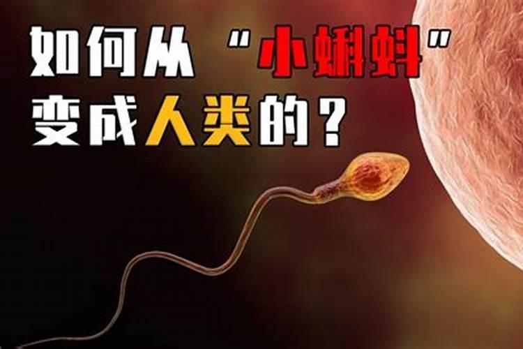 冬至几月精子最活跃？