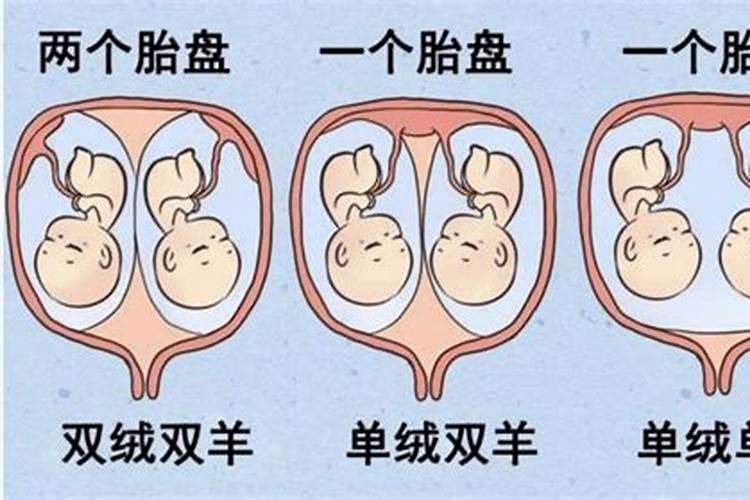 命中胎是什么意思？