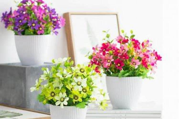 梦见假花是什么预兆？