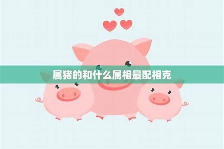 属相婚配猪与什么属相配对？