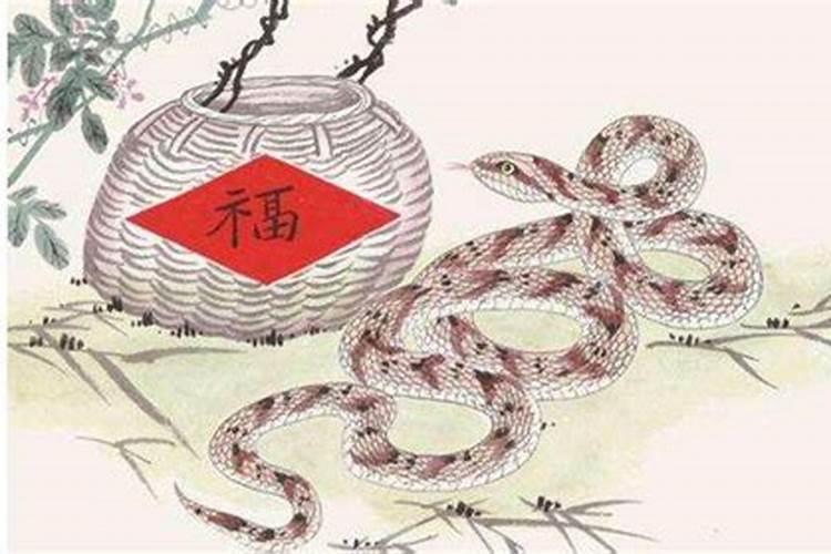 属蛇的人今年犯太岁怎么办？