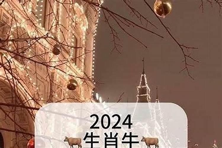 1997年11月29出生的运程