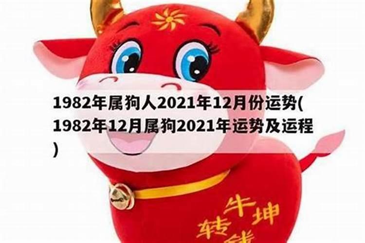 82年出生的人的运程