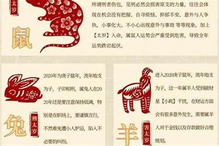 鼠年刑太岁是什么意思？