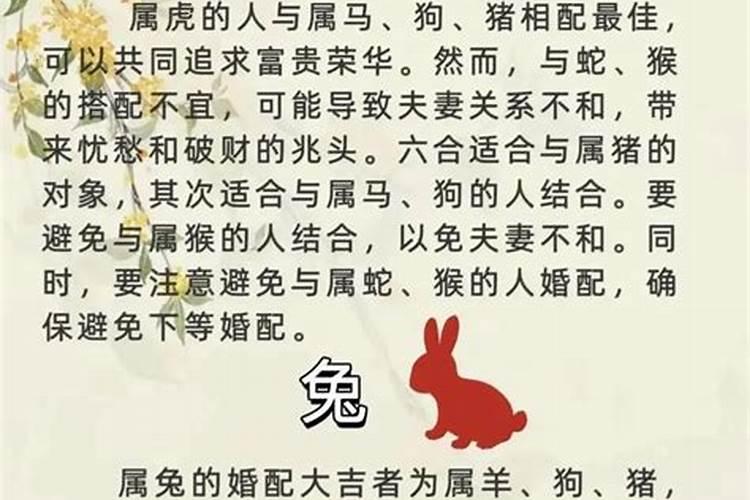 婚姻测算属鼠和什么相配？