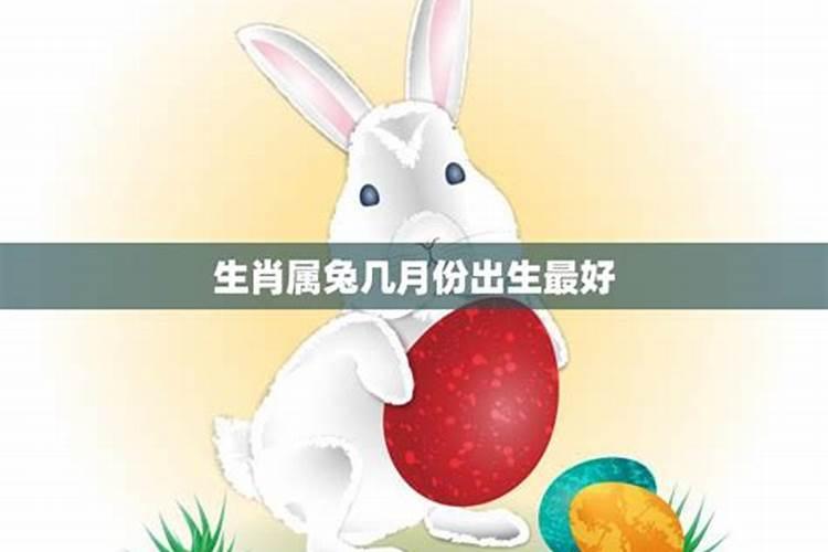2026生肖兔几月份最好？