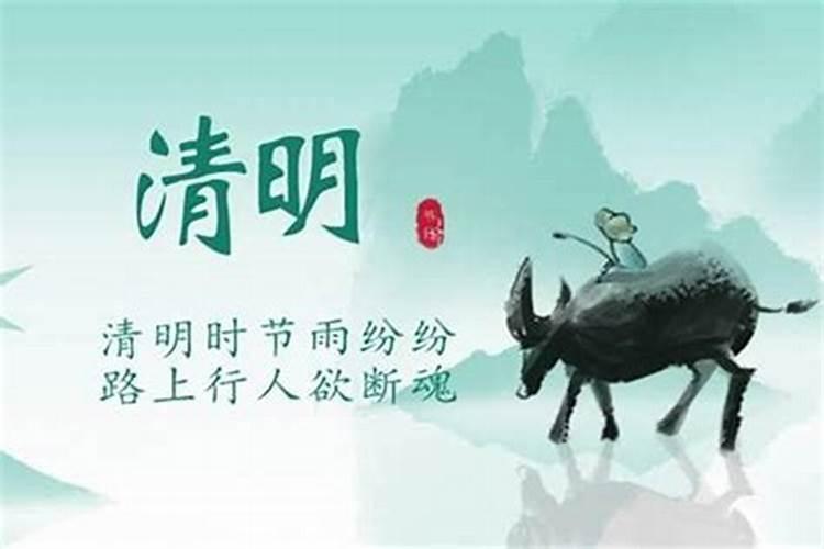 今年的清明节是在阳历的几月几号？