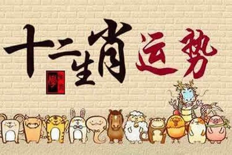 处女座生肖兔今日运势