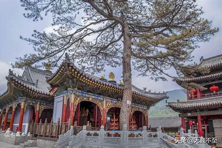 五台山财神庙在哪里？