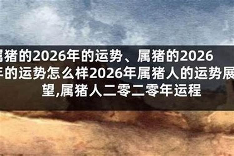 2026年8月份属猪的运程如何？