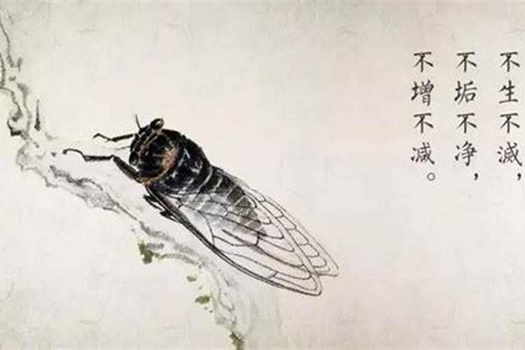 怎样不让婴灵跟着自己？