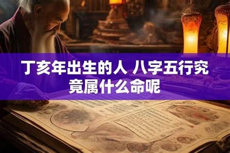 丁亥年出生的运势