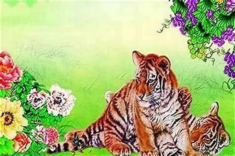 2026年本命年属虎运气怎么样？
