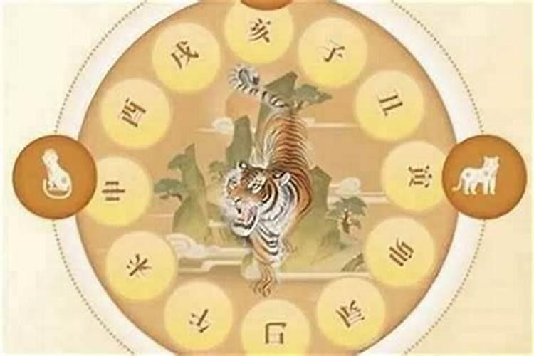 属虎的值太岁怎么化解？