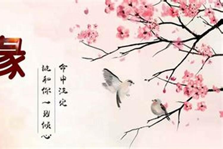 测试前世今生姻缘八字合婚