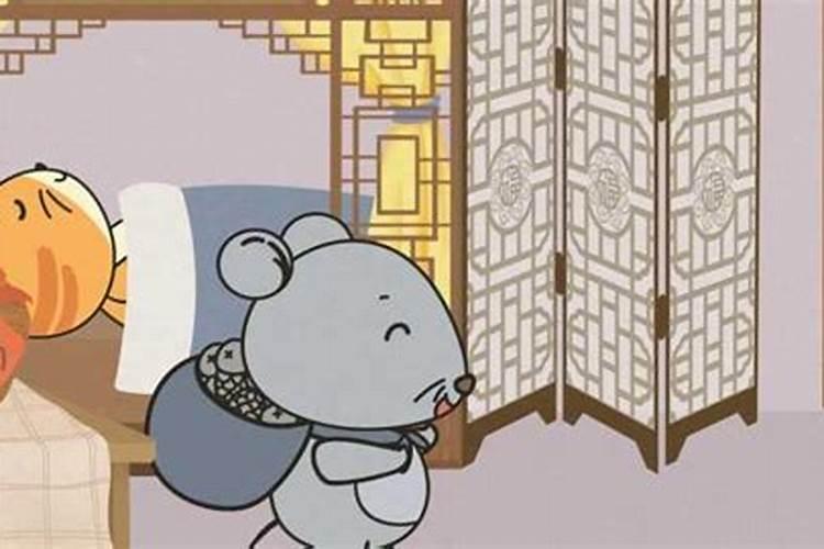 属鼠