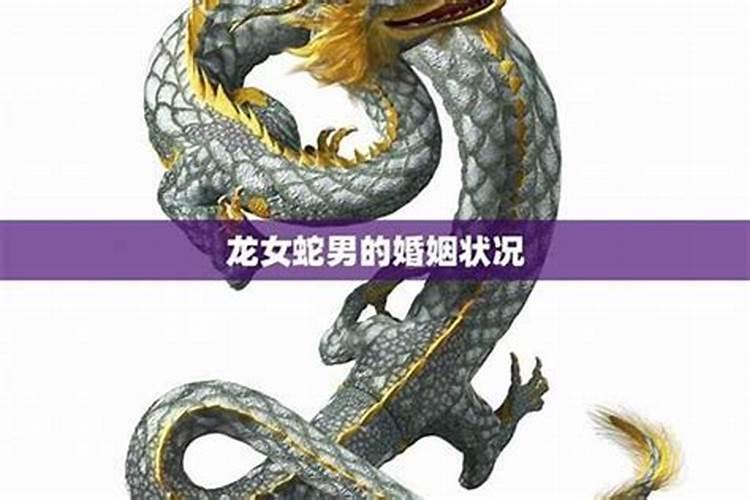 龙女和蛇男八字合不合