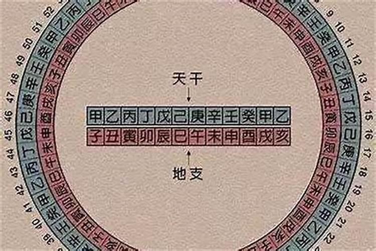 犯太岁看年柱还是日柱？