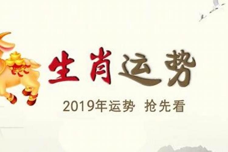 属牛的本月的运势如何？