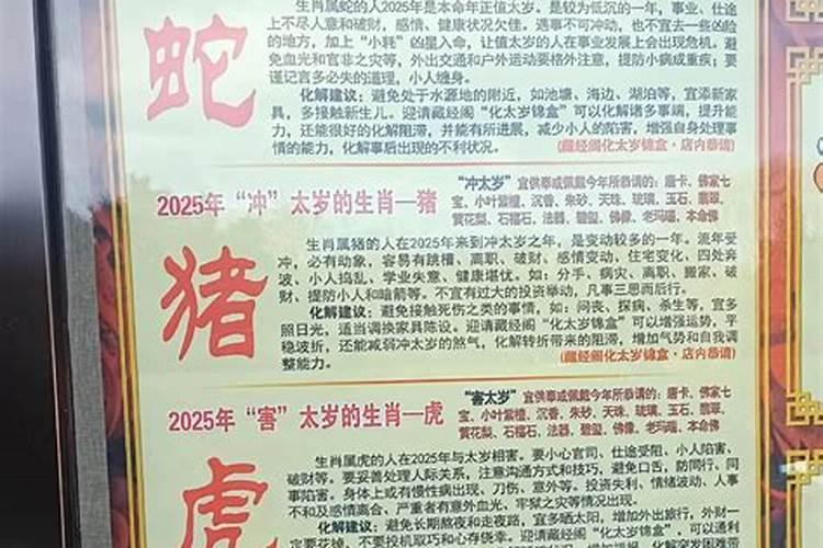 蛇生肖在哪一年冲太岁？