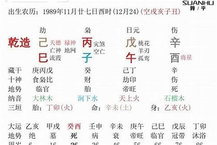 丙子和辛已合婚可以吗？