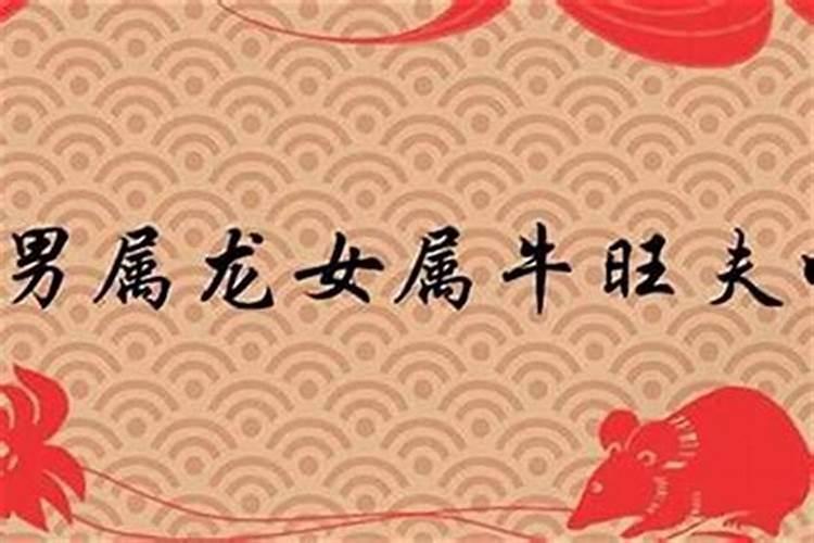 属相牛龙婚配可以吗？