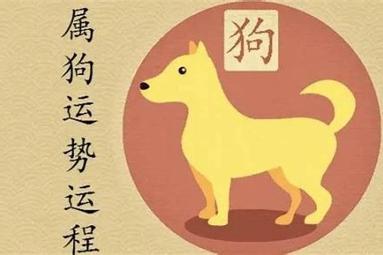 属狗的今年情感运势