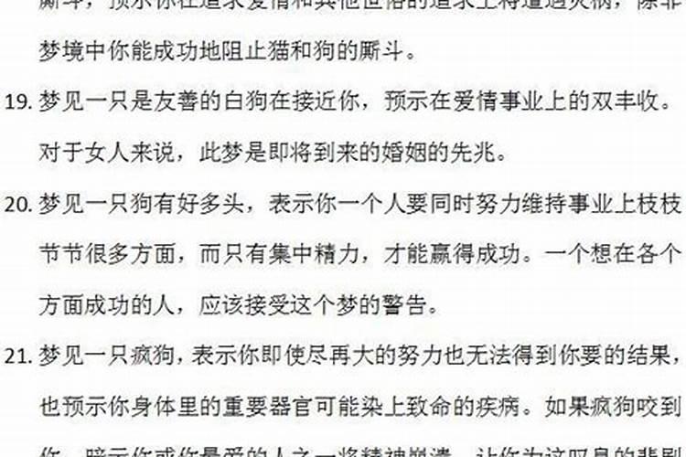 梦见狗说人话好不好？