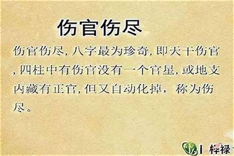 八字算命中的伤官是什么意思？