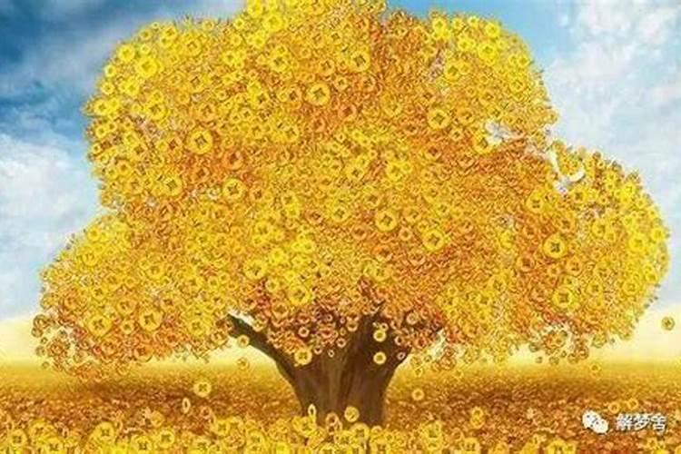 发横财最灵的梦