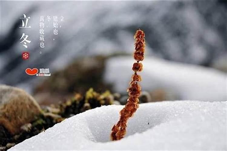 立冬的注意事项和保养重点有哪些？