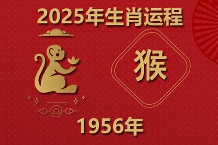 1956属猴人一生运程