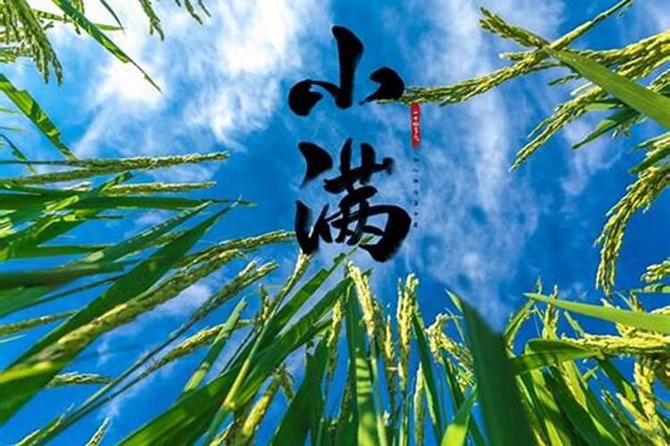 立夏与小满的习俗